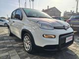 FIAT Panda 1.0 FireFly S&S Hybrid City Life#5 POSTI