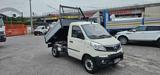 PIAGGIO PORTER NP6 LR RIBALTABILE  1.5BENZINA-GPL EURO6D