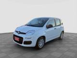 FIAT Panda Pandina 1.0 FireFly 65 CV Hybrid Icon