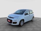 FIAT Panda Pandina 1.0 FireFly 65 CV Hybrid Icon