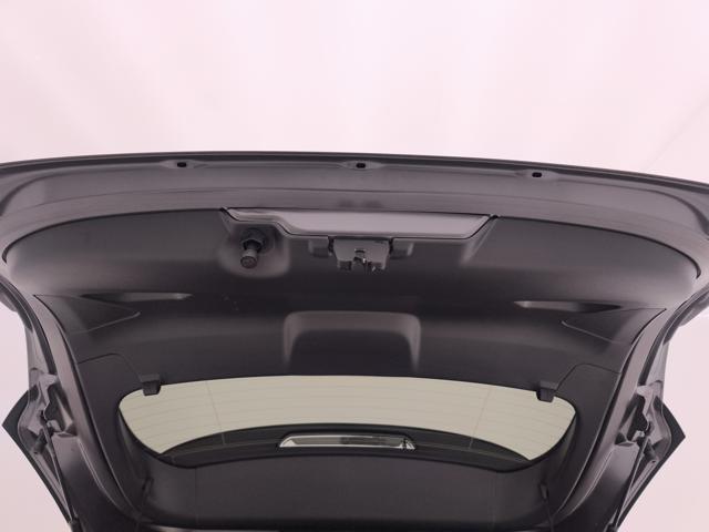 DS DS 3 1.5 BLUEHDI SO CHIC 130CV AUTO - foto 22