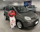 FIAT Panda 1.0 Hybrid 70 CV City Life