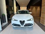 ALFA ROMEO Stelvio 2.2 Turbodiesel 180 CV AT8 RWD Executive