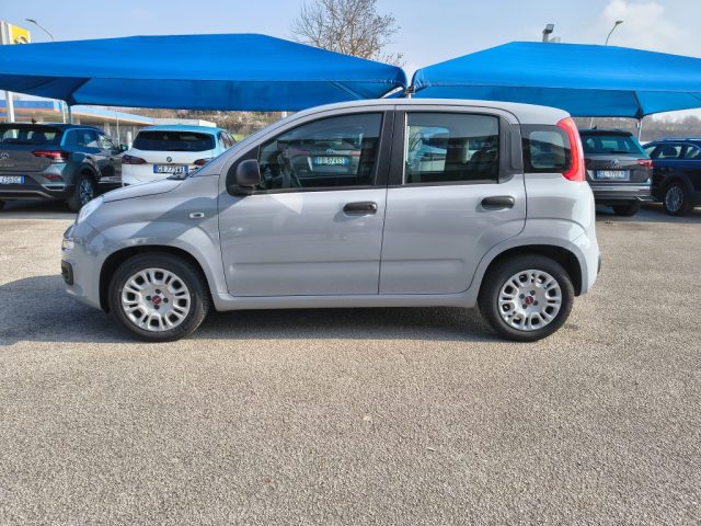 FIAT PANDA 1.0 FIREFLY S&S HYBRID - foto 8