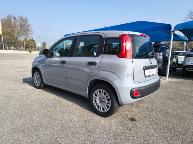 FIAT PANDA 1.0 FIREFLY S&S HYBRID - foto 7