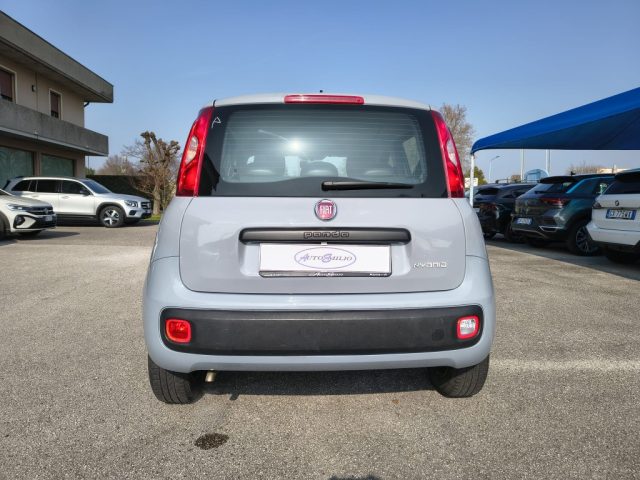FIAT PANDA 1.0 FIREFLY S&S HYBRID - foto 6