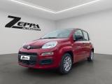 FIAT Panda 1.0 FireFly S&S Hybrid Icon