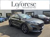 FORD Kuga 1.5 EcoBlue 120 CV 2WD ST-Line