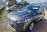 FORD Kuga 1.5 EcoBlue 120 CV 2WD Titanium Business