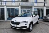 SKODA Karoq 2.0 TDI SCR 4x4 DSG Executive
