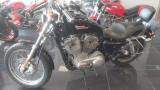 HARLEY-DAVIDSON 883 Sportster XL Sportster