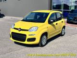 FIAT Panda 1.0 FireFly S&S Hybrid Icon / Kit 5 Posti