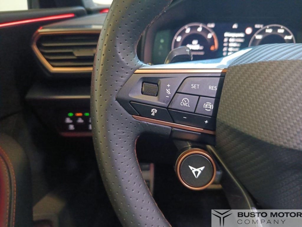 CUPRA Leon 2.0 TDI 150 CV DSG - 16