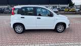 FIAT New Panda 1.2  S.&S. E6D-TEMP EASY 5 POSTI GUIDABILE NEOPA