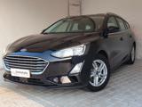 FORD Focus 1.5 EcoBlue 120 CV SW Business