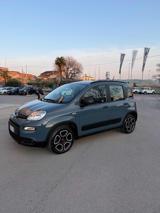 FIAT Panda Panda 1.2 Easy Power