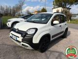 FIAT Panda Cross 1.0 FireFly S&S Hybrid
