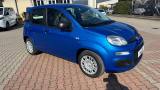 FIAT Pandina 1.0 FireFly Hybrid 65cv POP KMO