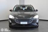 FORD Focus 1.5 EcoBlue 120 CV automatico SW Business Co-Pilot