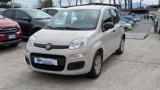 FIAT Panda Pandazzuri 1.2cc 69cv CLIMATIZZATORE