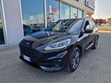 FORD Kuga 1.5 EcoBlue 120 CV 2WD ST-Line