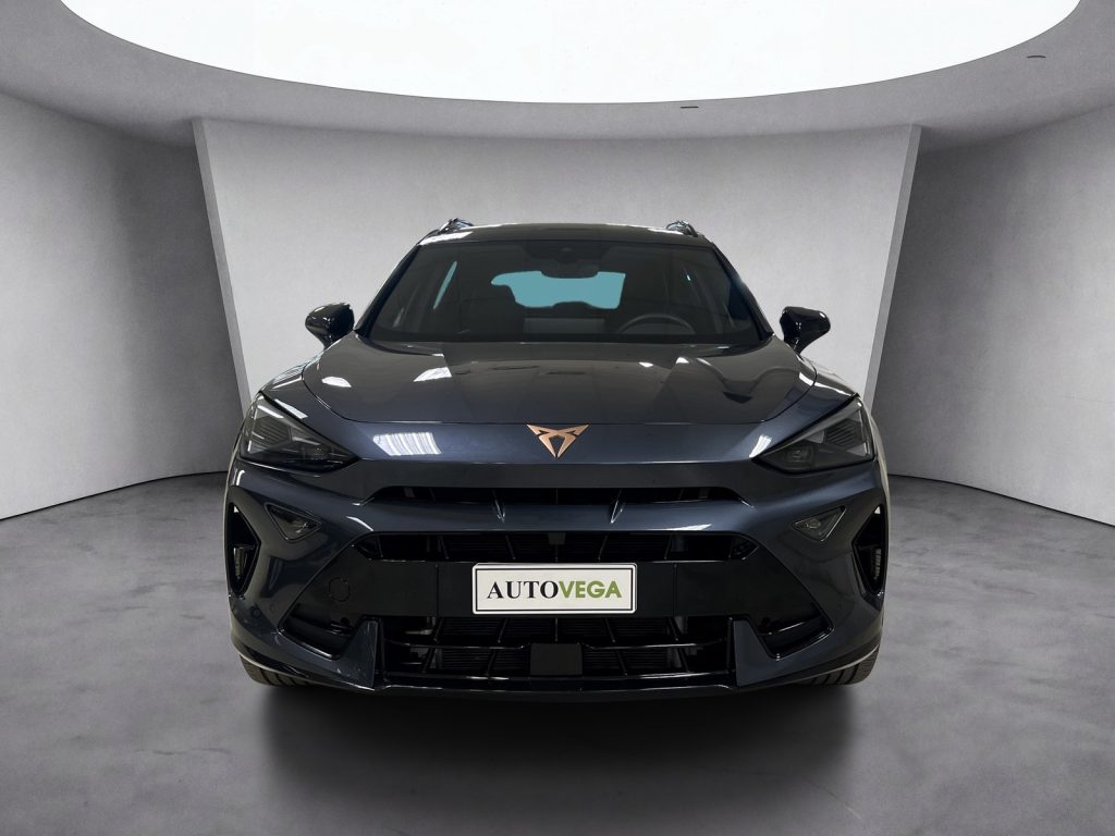 immagine usato CUPRA Formentor 2.0 tdi 150cv dsg