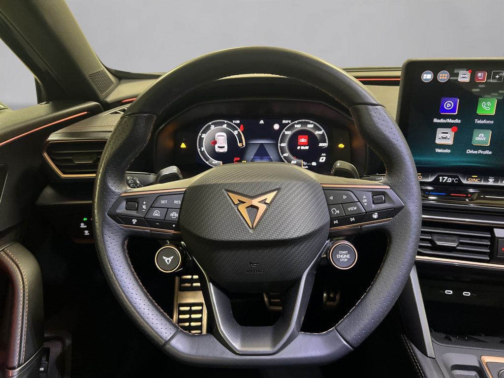 immagine usato CUPRA Formentor 2.0 tdi 150cv dsg