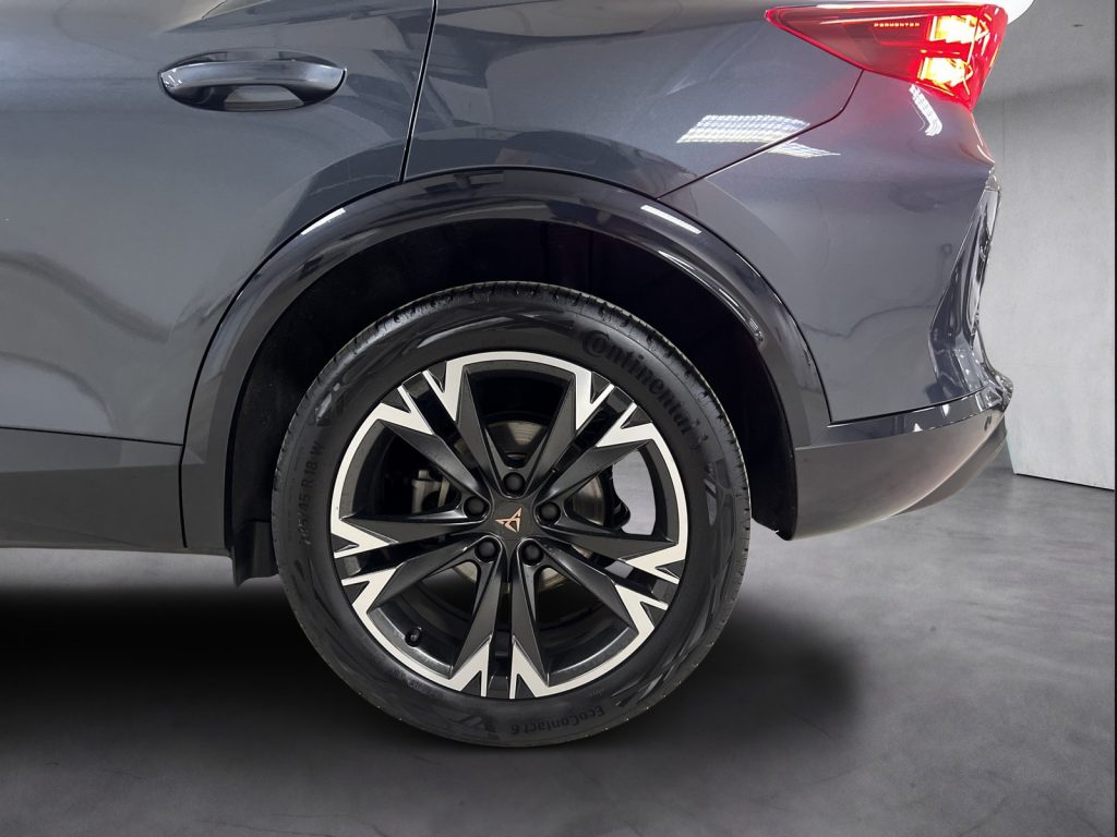 immagine usato CUPRA Formentor 2.0 tdi 150cv dsg