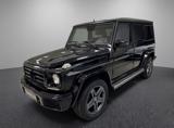 MERCEDES-BENZ G 350 d S.W. +19