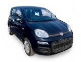 FIAT Pandina 1.0 FireFly 65 CV Hybrid Pop *PROMO FINANZIAMENTO*