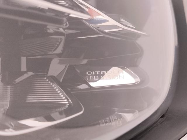 CITROEN C3 1.2 PURETECH MAX S&S 110CV - foto 27