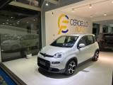 FIAT Panda 1.0 FireFly S&S Hybrid sport yua da ?129,00 ant.0