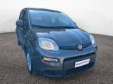 FIAT Panda III 2021 1.0 FireFly Hybrid 70cv S&S