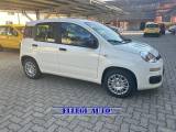 FIAT Panda PROMO FINANZ 1.0 HYBRID 5 POSTI +PACK ICON KM 0