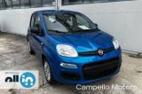 FIAT Panda Panda 1.0 70cv Hybrid Panda My25
