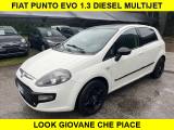 FIAT Punto Evo 1.3 Mjt 75 CV 5 porte