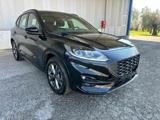 FORD Kuga 2.0 EcoBlue 120 CV aut. AWD ST-Line