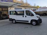 FIAT ducato  boxer 2.0 BlueHDi PC-TN Combi  9 posti
