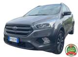 FORD Kuga 1.5 TDCI 120CV S&S 2WD Powershift ST-Line Business