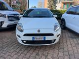 FIAT Punto 1.4 8V 5 porte Easypower Street