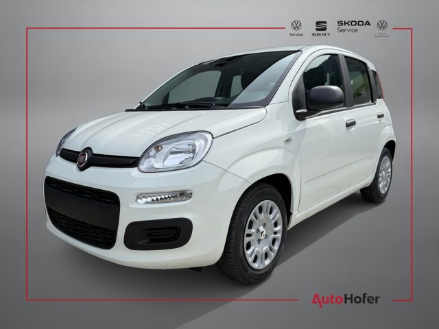 FIAT PANDINA 1.0 HYBRID ICON RADIO CLIMA 5P *