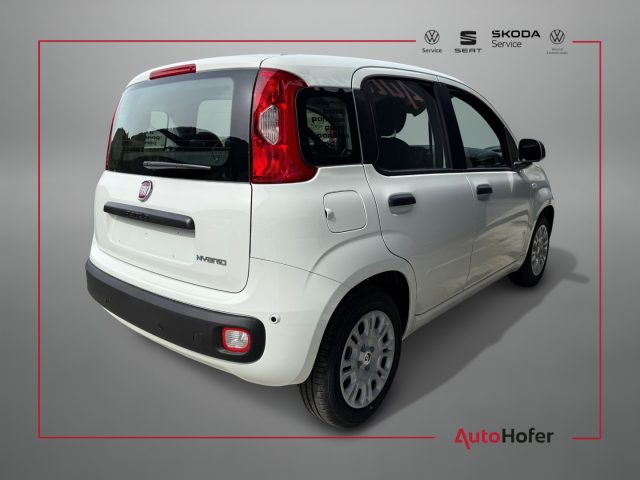 FIAT PANDINA 1.0 HYBRID ICON RADIO CLIMA 5P * - foto 3