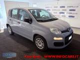 FIAT Panda 1.0 Hybrid 70 CV - NEOPATENTATI - PROMO