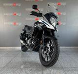 SUZUKI V-Strom 650 ABS - 2020 *PARAMOTORE - FARETTI*