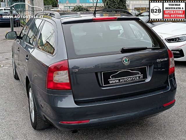 SKODA Octavia usata, con Monitoraggio pressione pneumatici