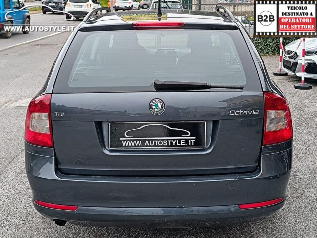 SKODA OCTAVIA WAGON 1.6 TDI CR F.AP. WAGON - foto 37