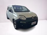FIAT Panda 1.2 Pop Van 2 posti