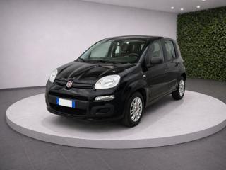FIAT Panda III 1.2 8v 69Cv Pop My Style