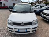 FIAT Panda 1.2 Dynamic OK NEOPATENTATI
