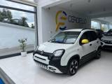 FIAT Panda 1.0 FireFly S&S Hybrid Pandina